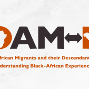 Research on African Migrants and their Descendants in Belgium: Understanding Black-African Experiences