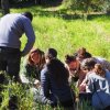Agir et former autrement pour conserver la biodiversité 