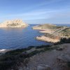 Hybridization and adaptation in a Mediterranean coastal city