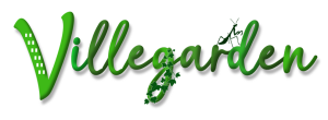 Image1.png