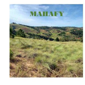 Madagascar, Agroécologie, Hadivory et Forêts pour le genre et la biodiversité