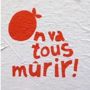 tous_murir.JPG